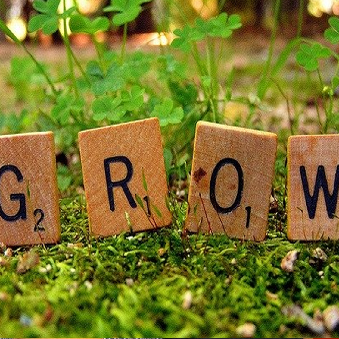 Our code - It Lives and Grows As We Do - Wiley